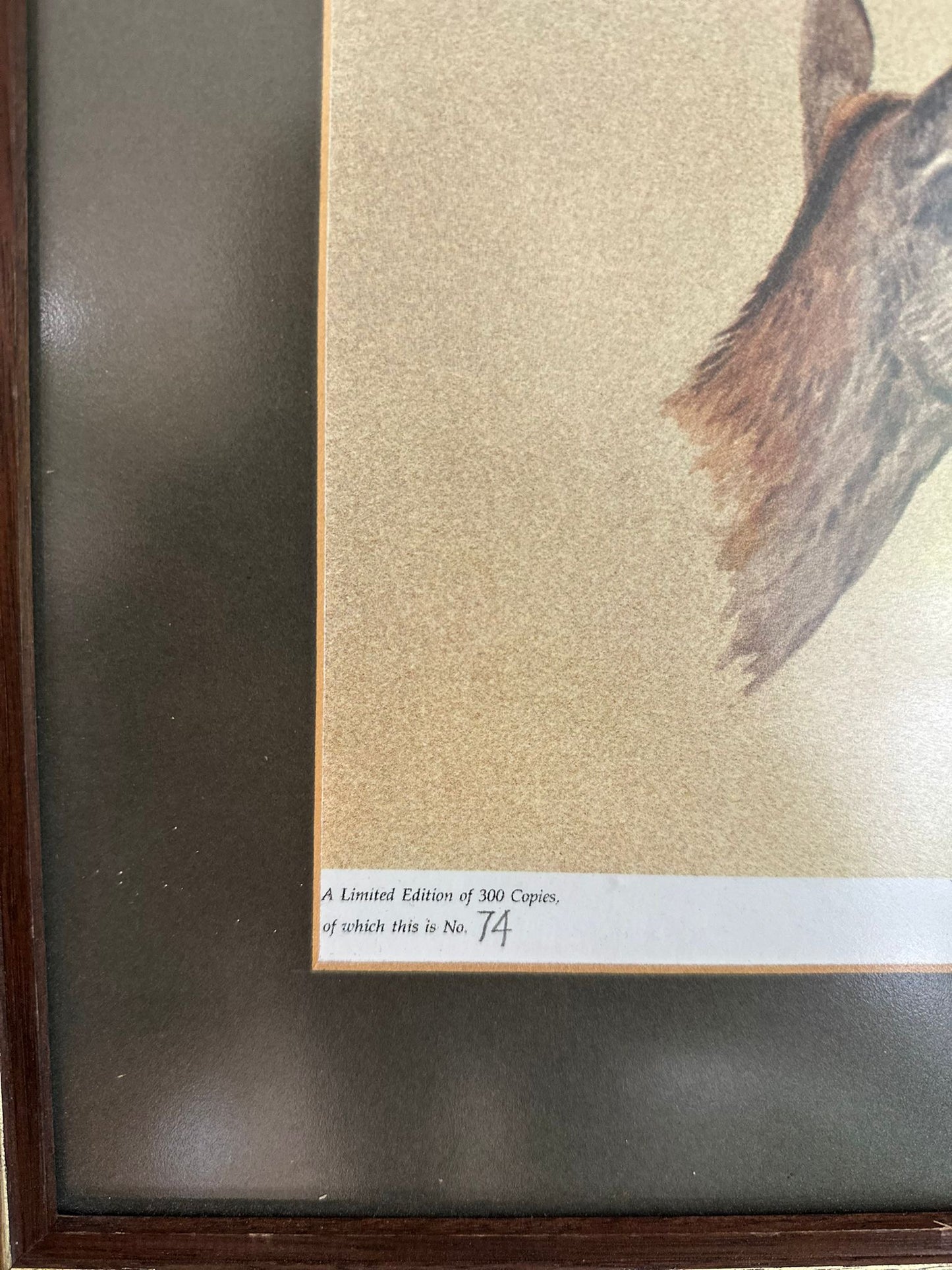 vintage limited edition deer print framed large