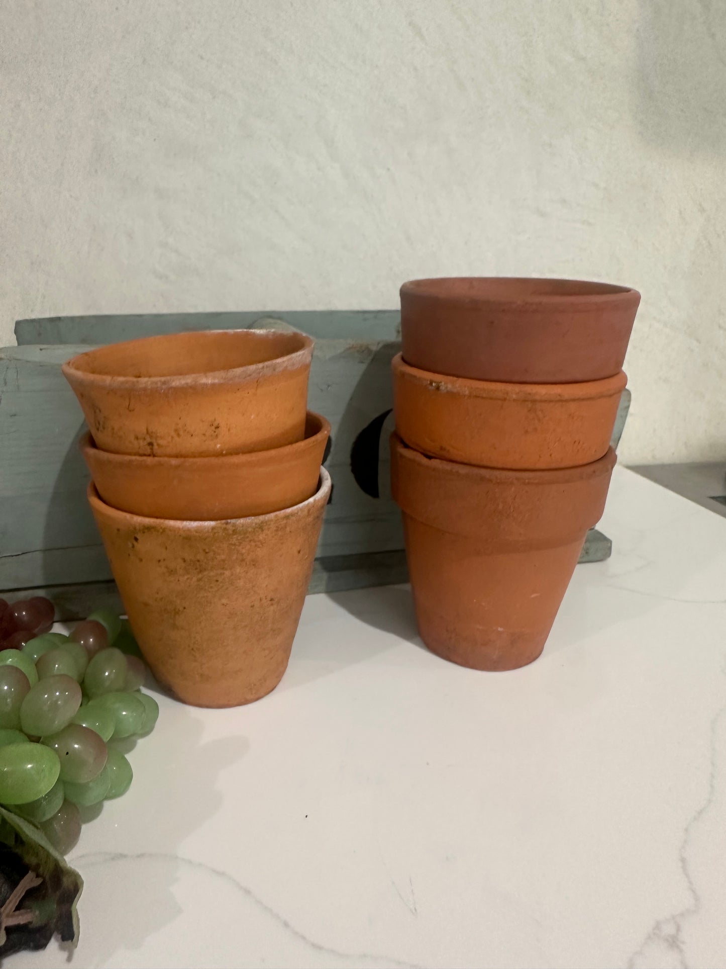 3 terracotta pots herbs