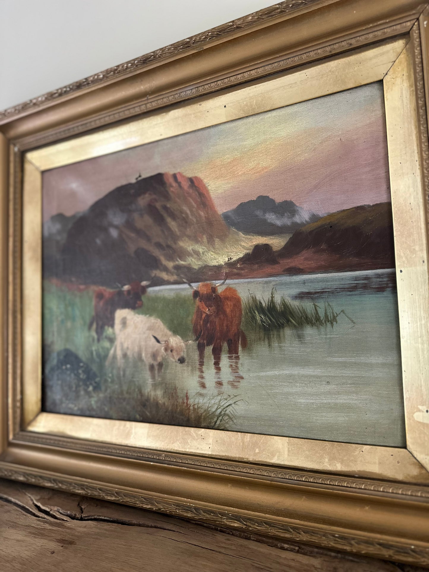 Pair of highland cow vintage paintings framed