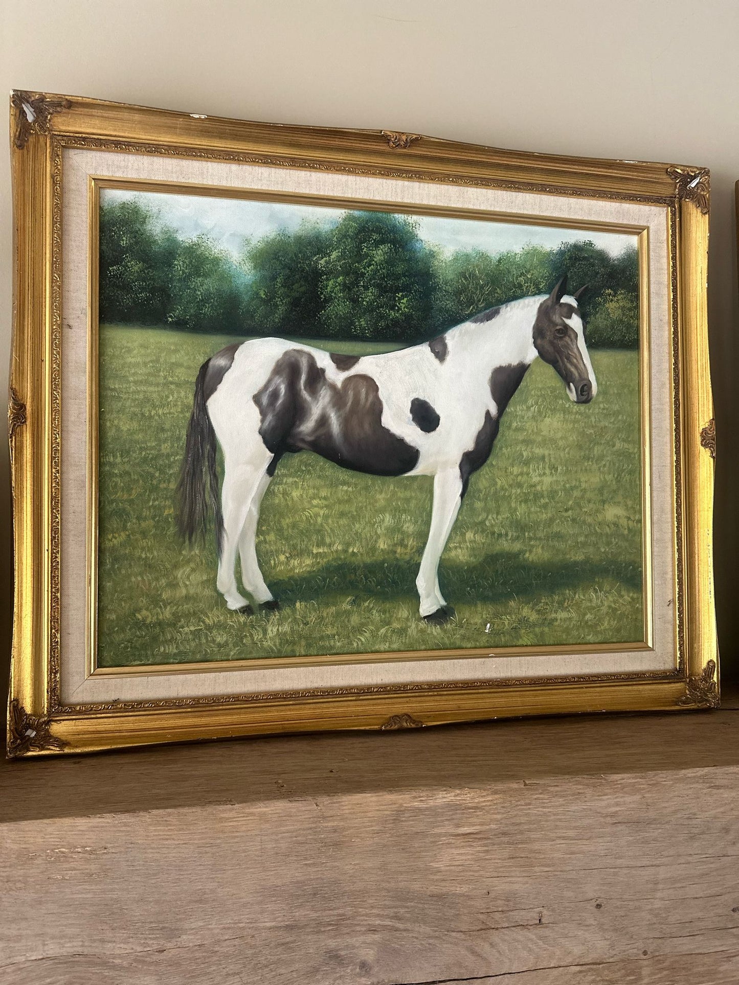 pair of framed horse π paintings signed
