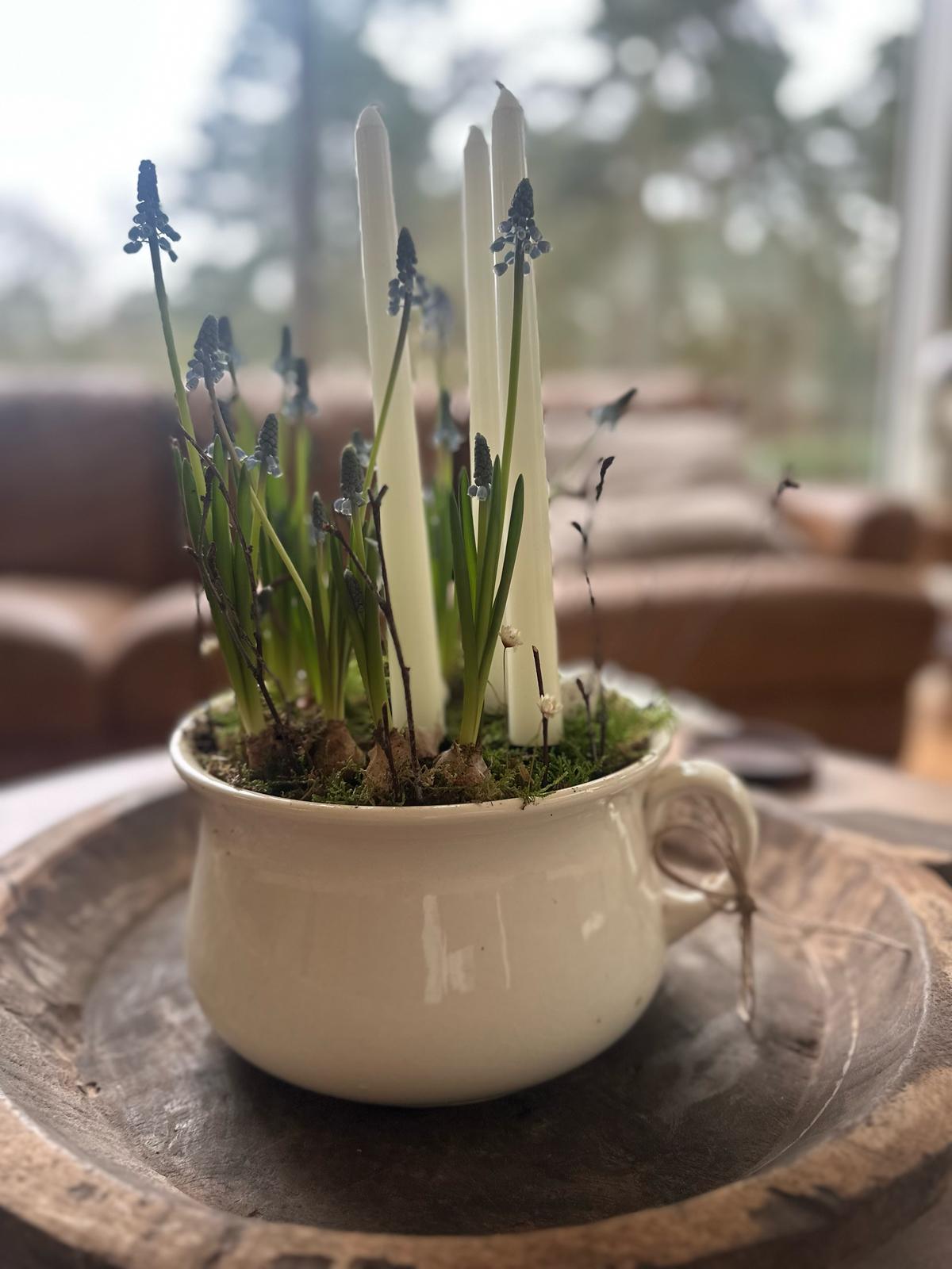 white chamberpot with handle - planter