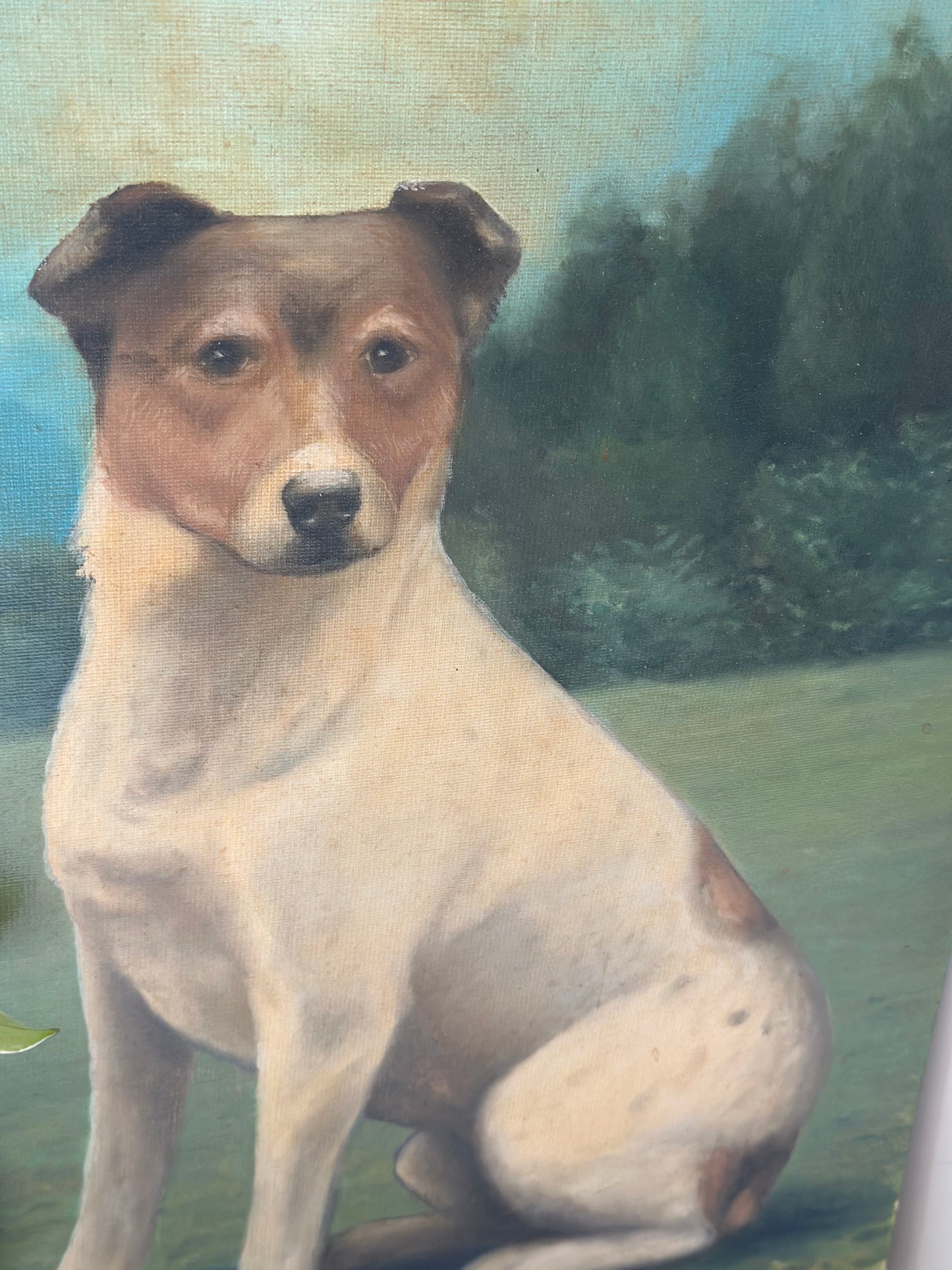 Jack russel oil on board painting