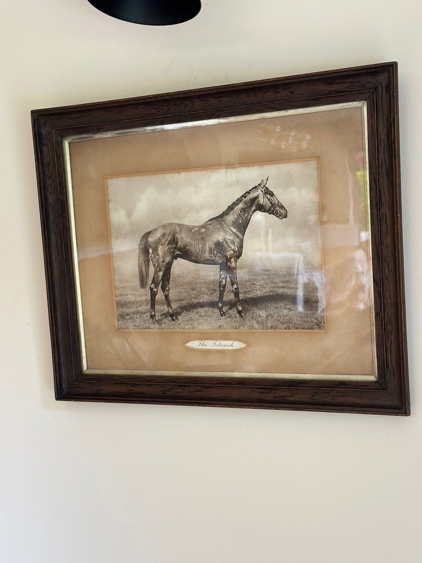 vintage horse 🐴 picture print framed
