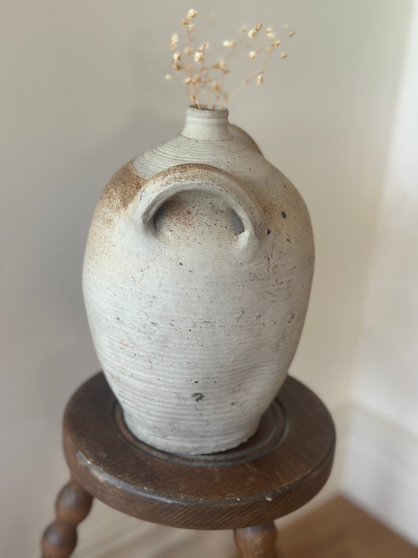 Medium - large French double handle neutral pot