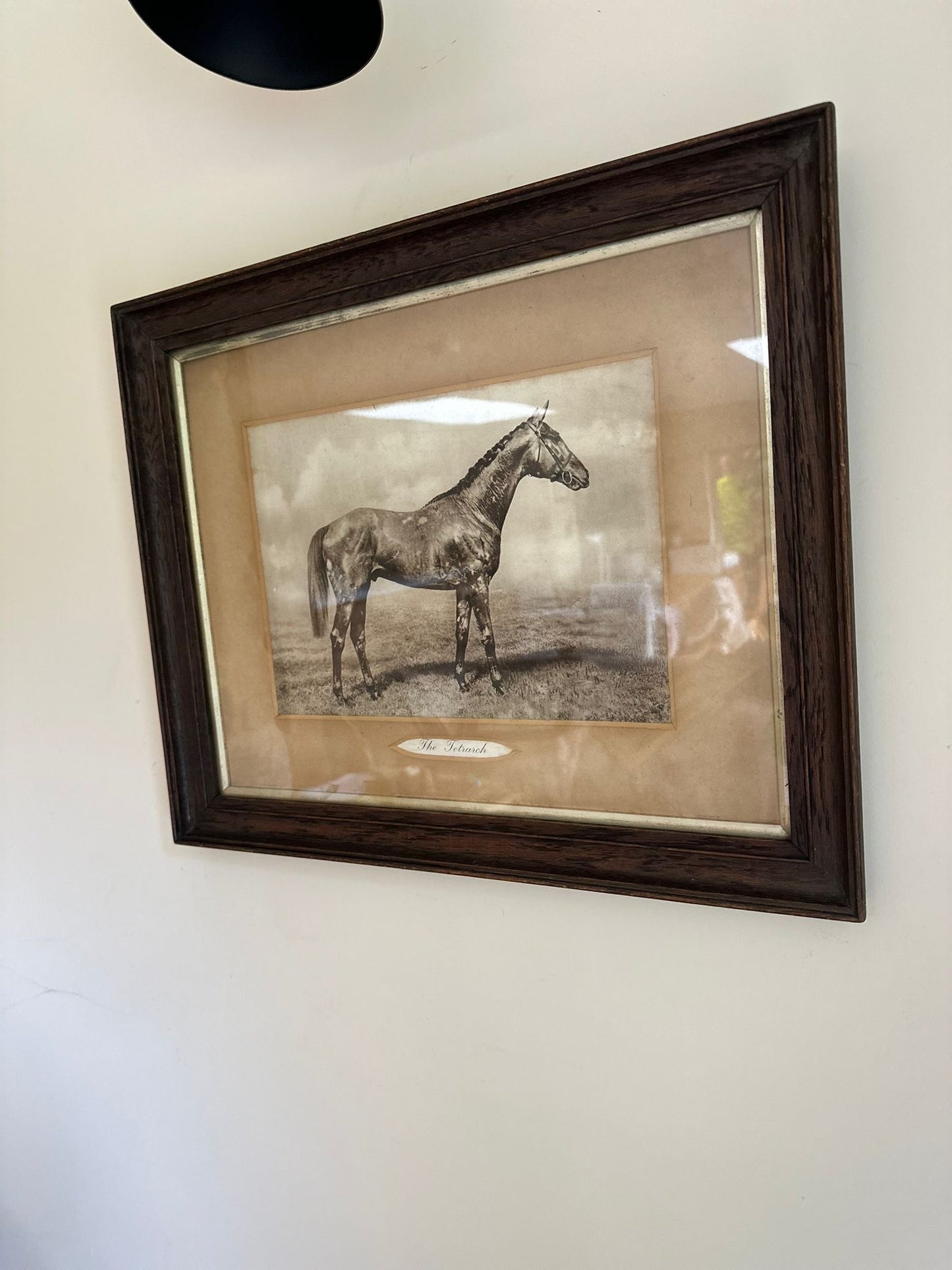 vintage horse 🐴 picture print framed