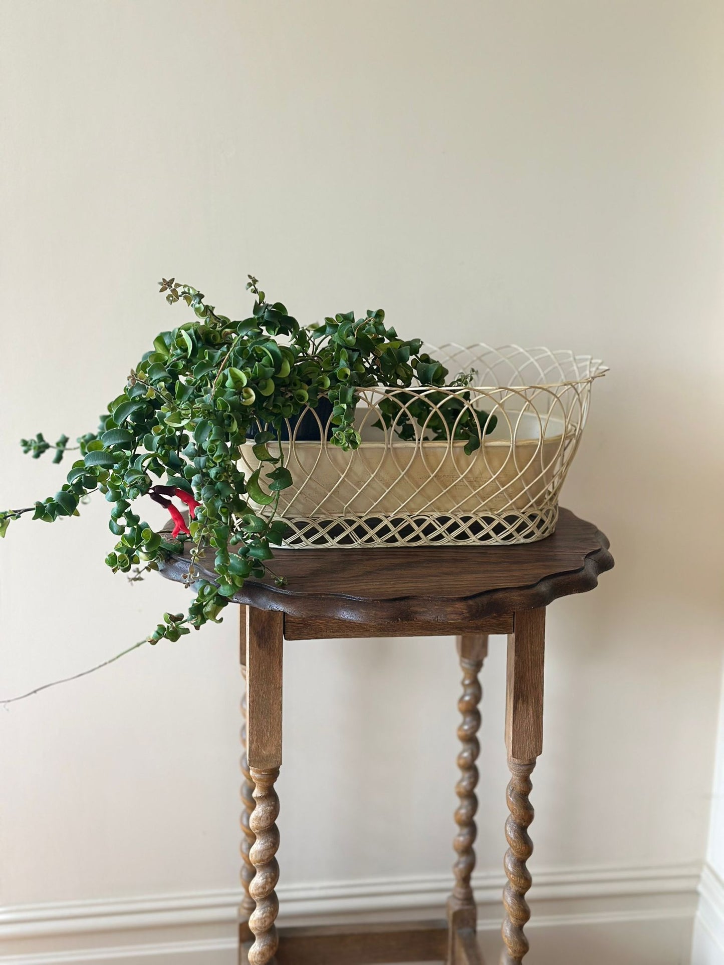 Vintage French wire cream chippy planter large