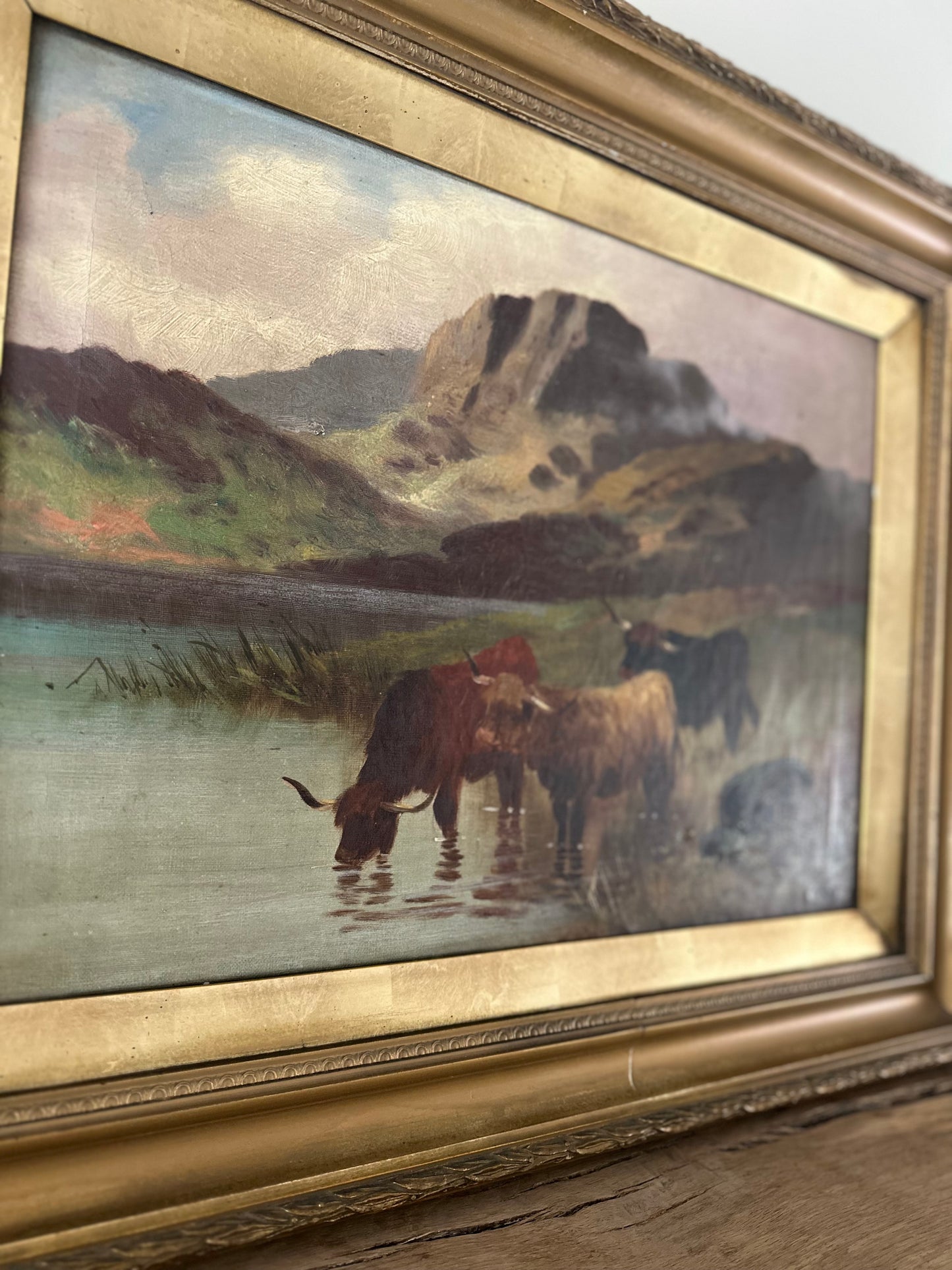 Pair of highland cow vintage paintings framed