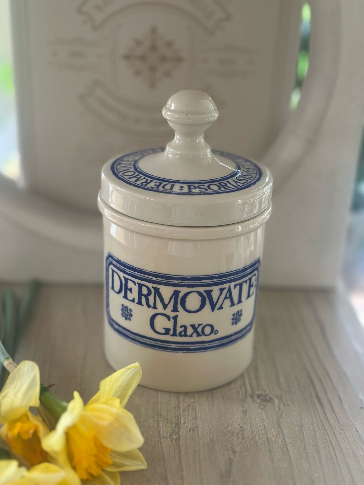 vintage WADE collectible glaxo chemist jar