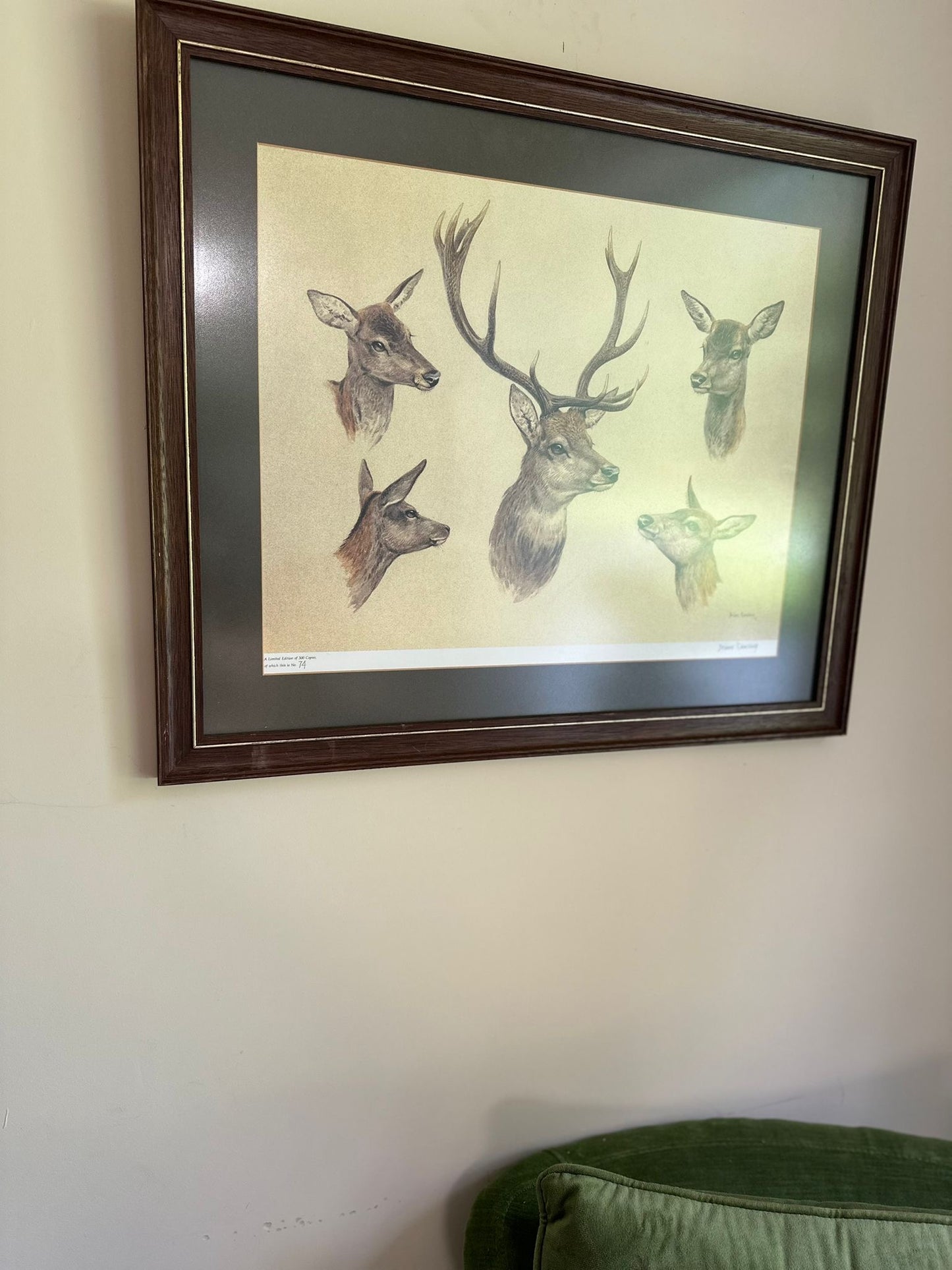 vintage limited edition deer print framed large