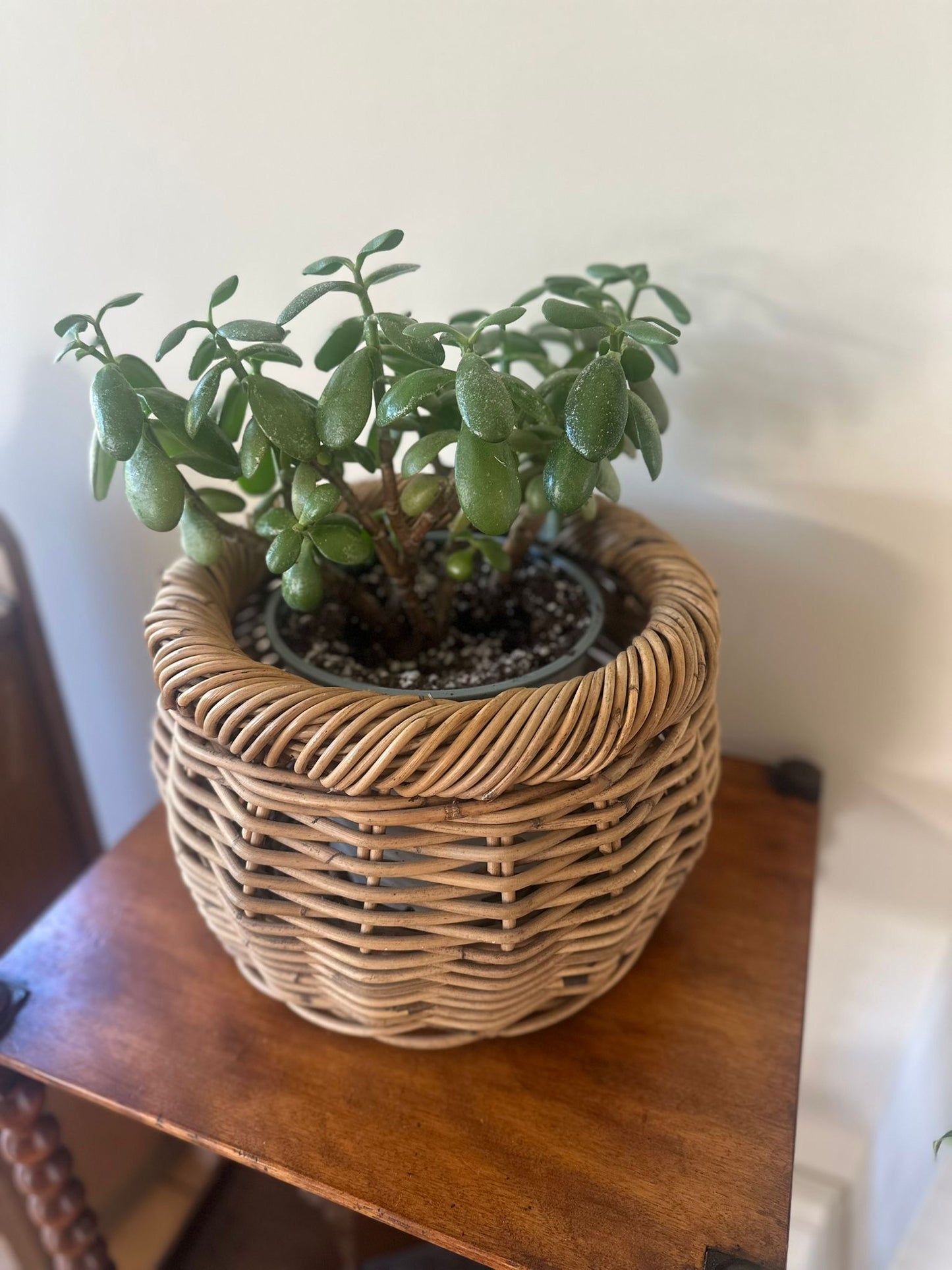 large wicker planter vintage very solid