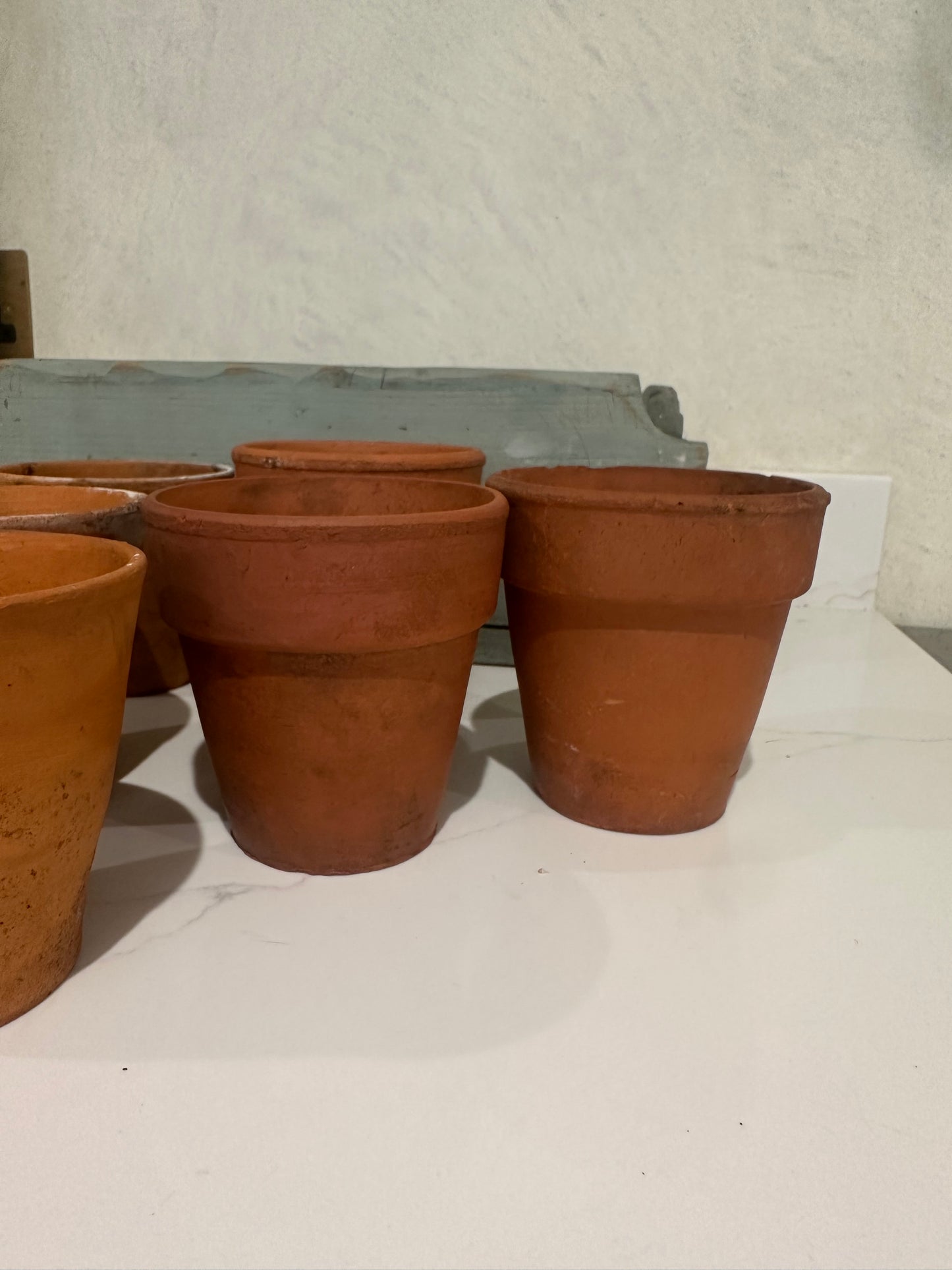 3 terracotta pots herbs