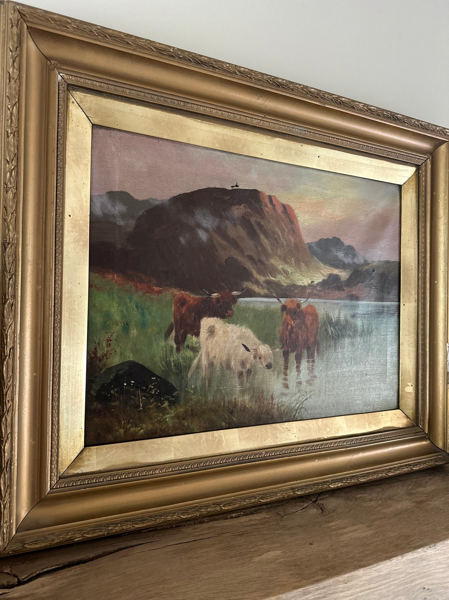 Pair of highland cow vintage paintings framed