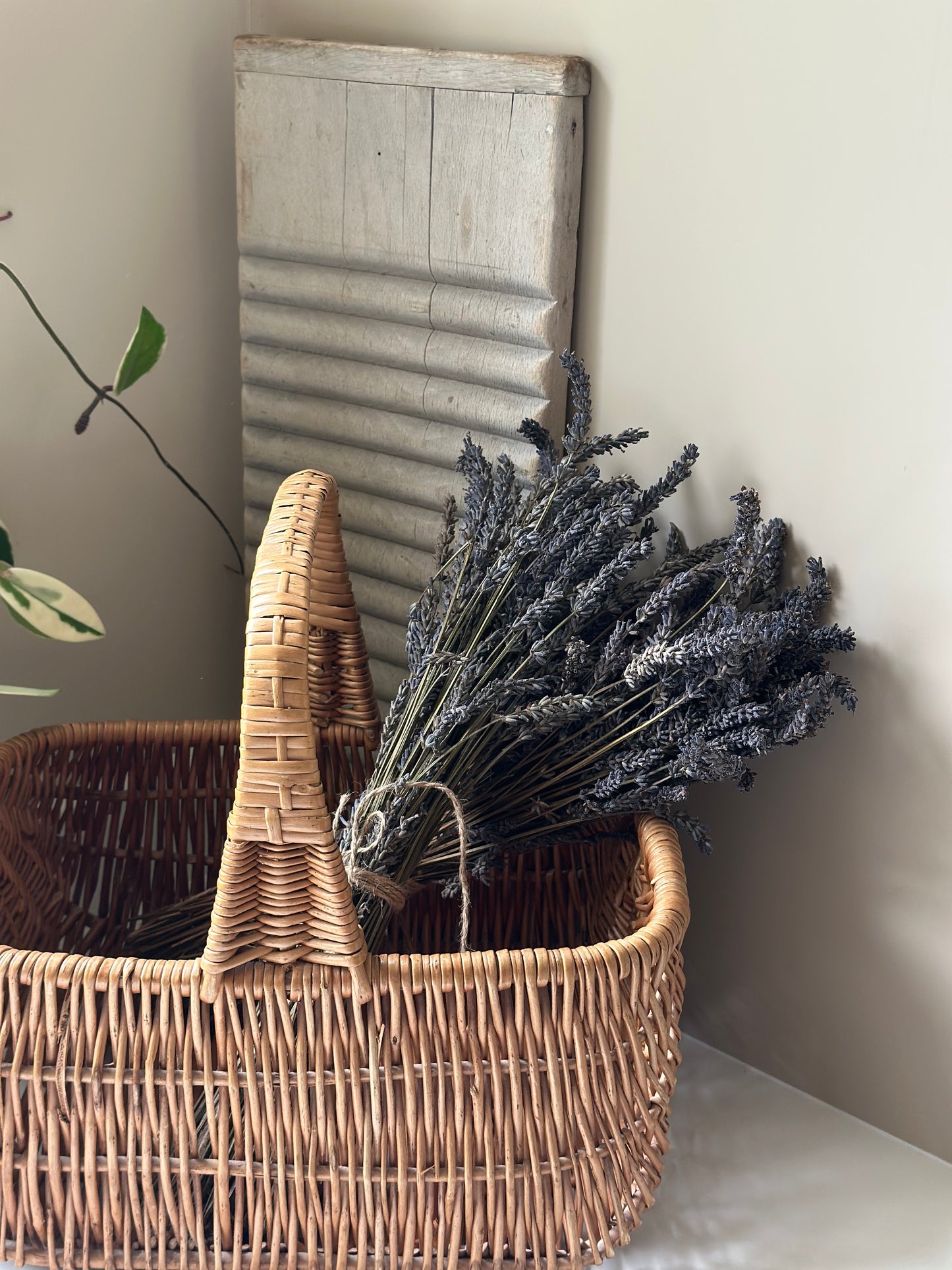 Vintage French shopping basket