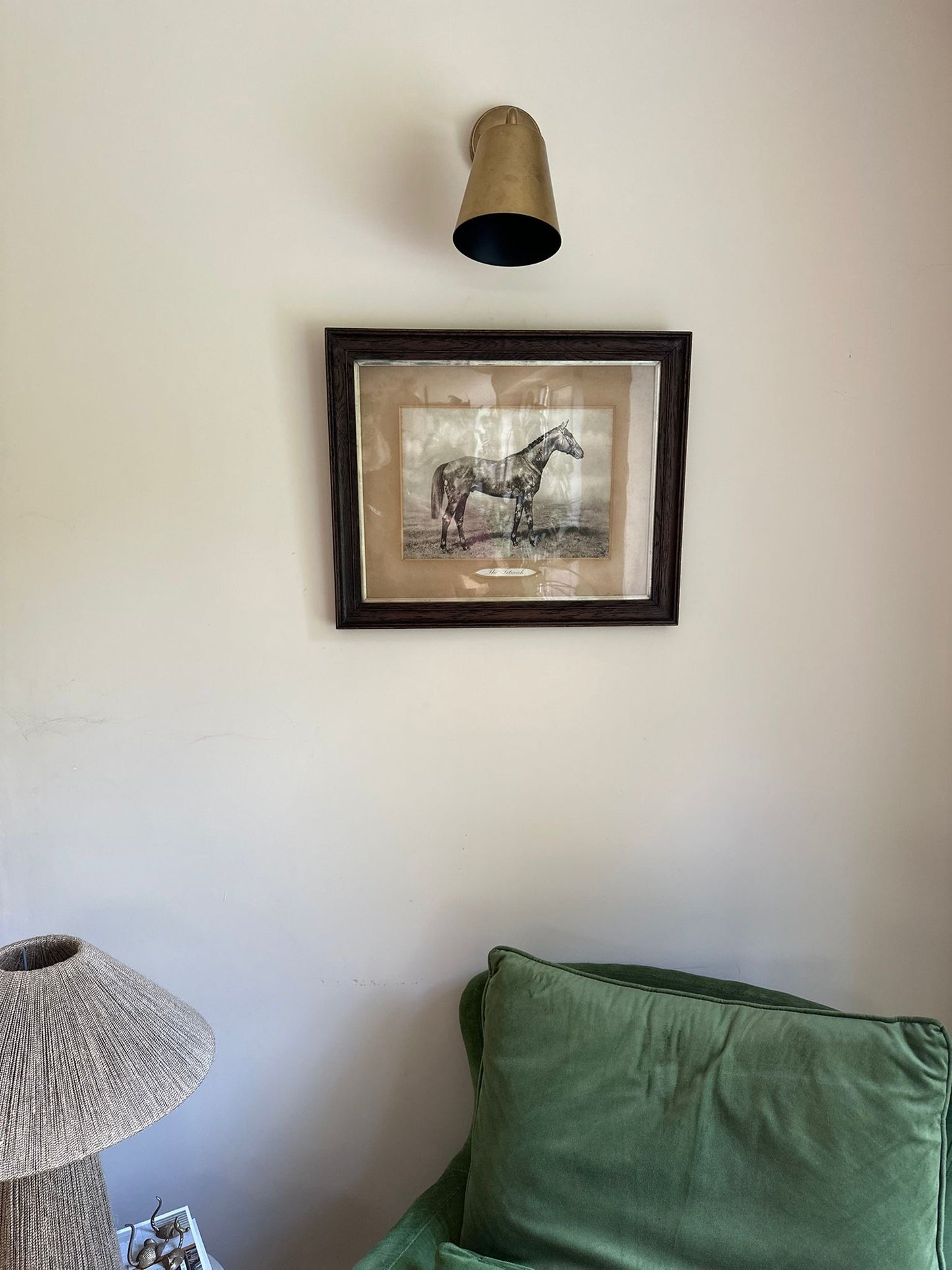 vintage horse 🐴 picture print framed