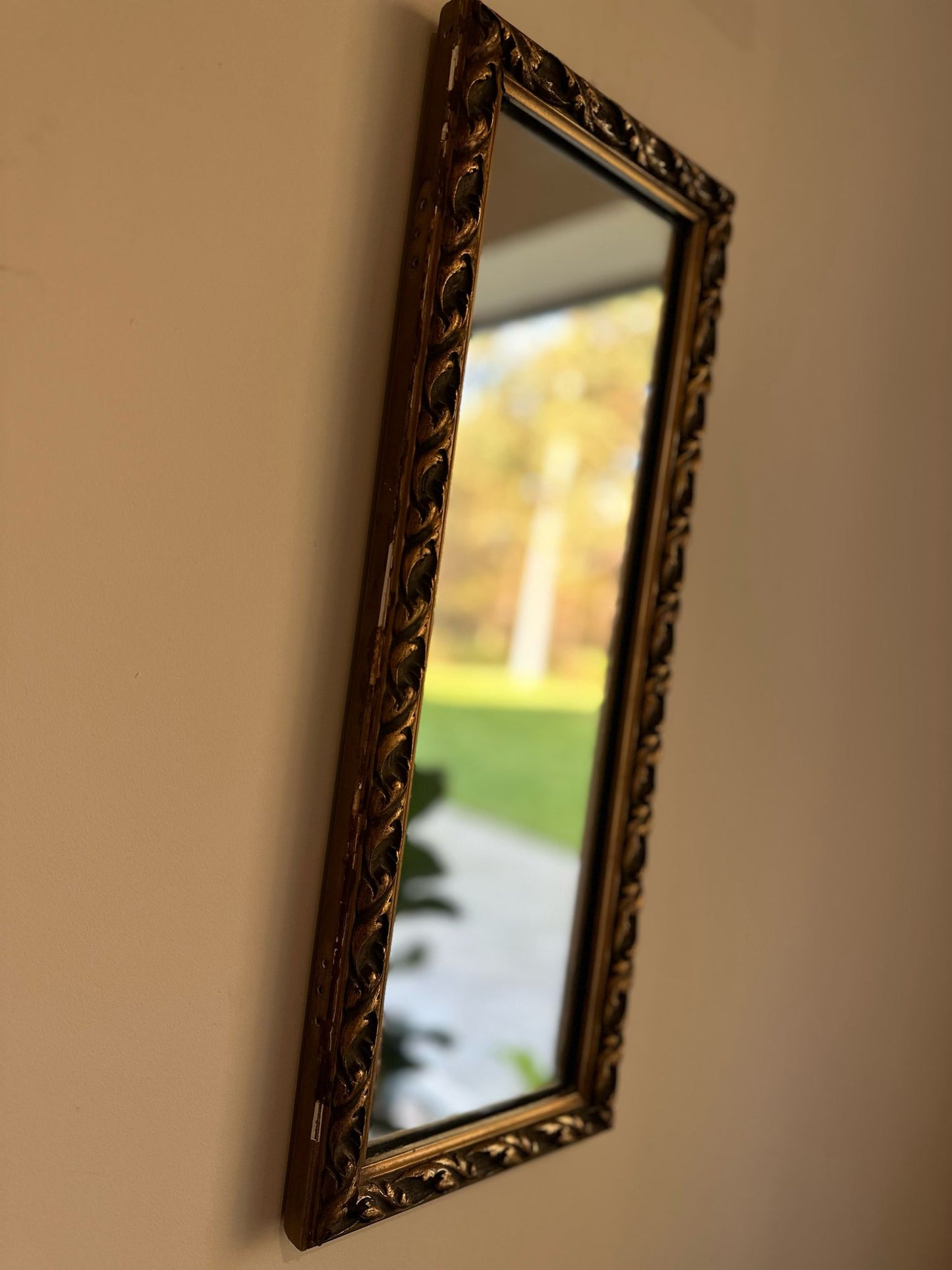 French skinny mirror 🪞 gold frame