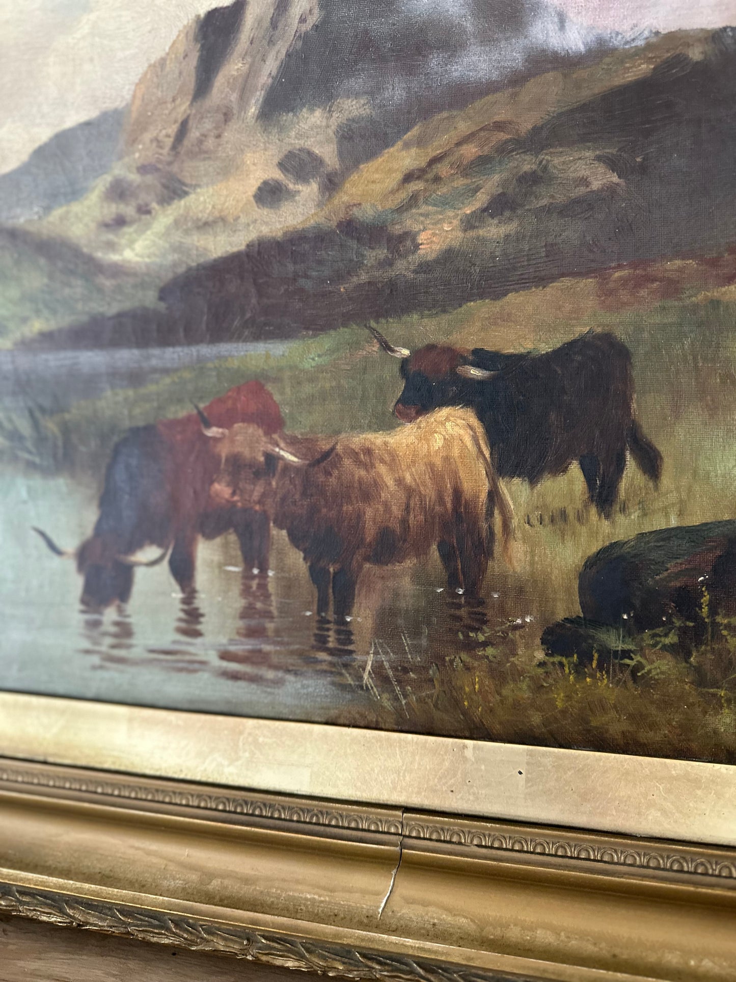 Pair of highland cow vintage paintings framed