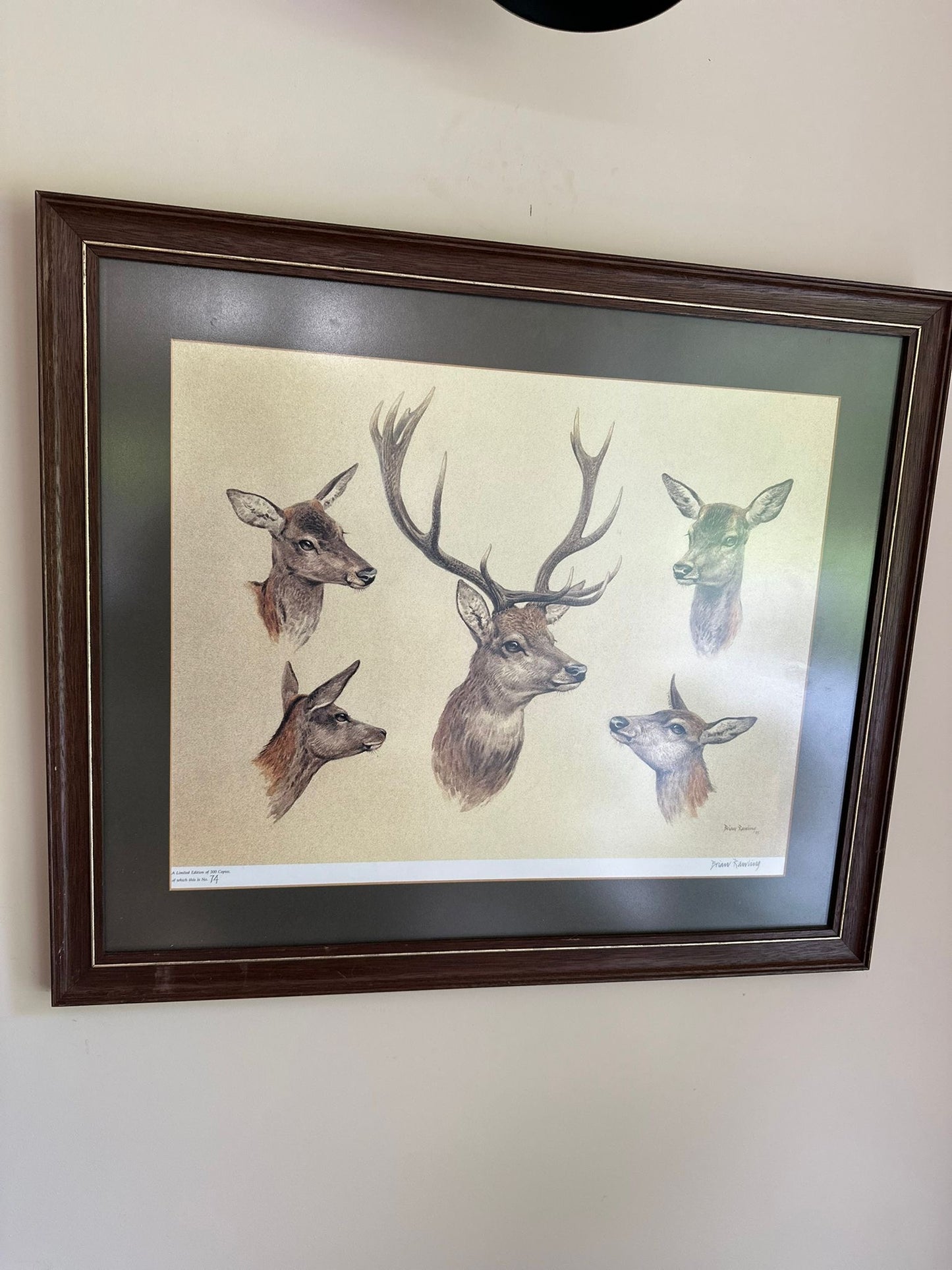 vintage limited edition deer print framed large