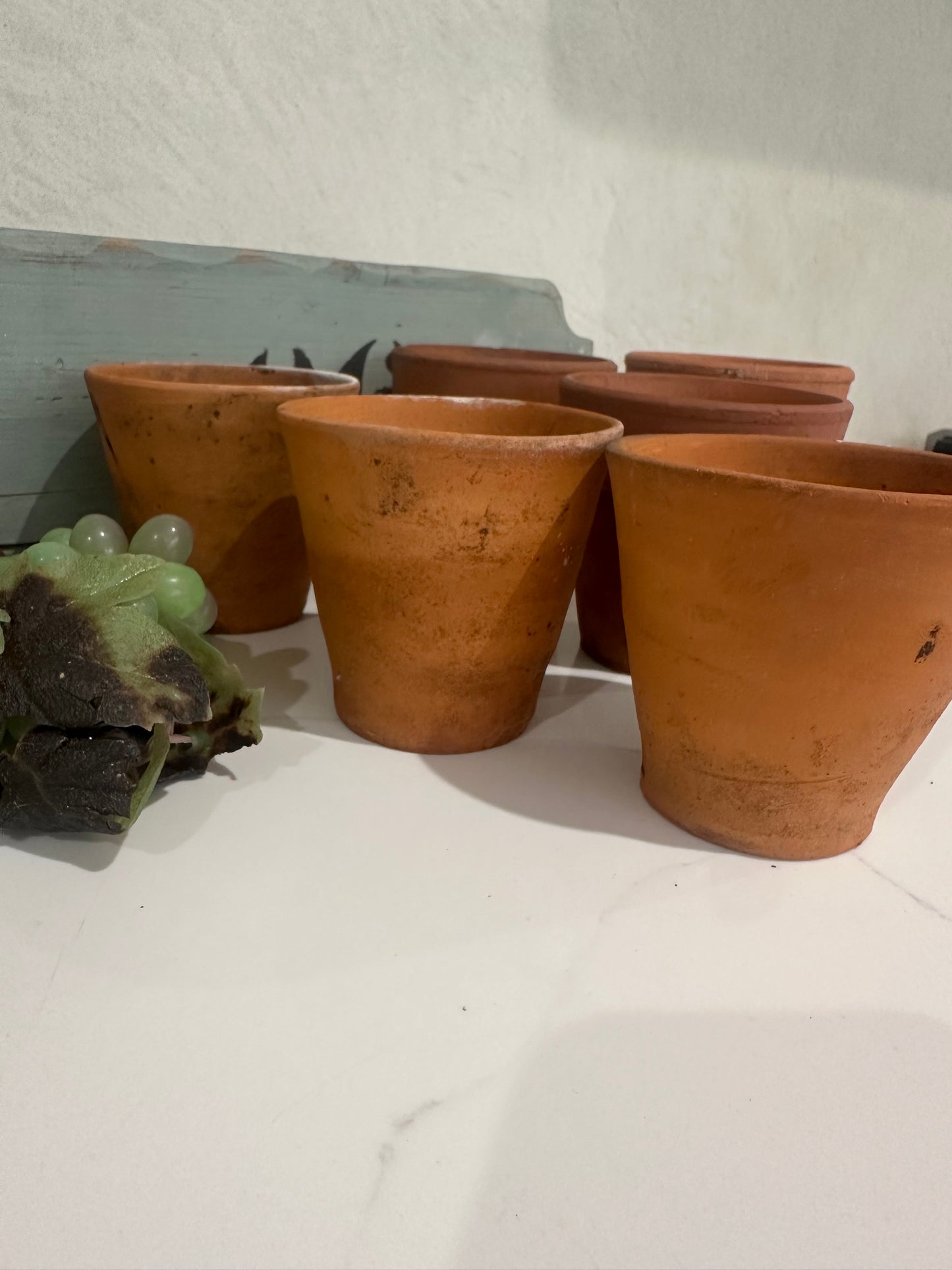 3 terracotta pots herbs