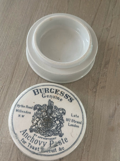 antique early 1900’s burgess anchovy paste pot