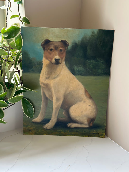 Jack russel oil on board painting