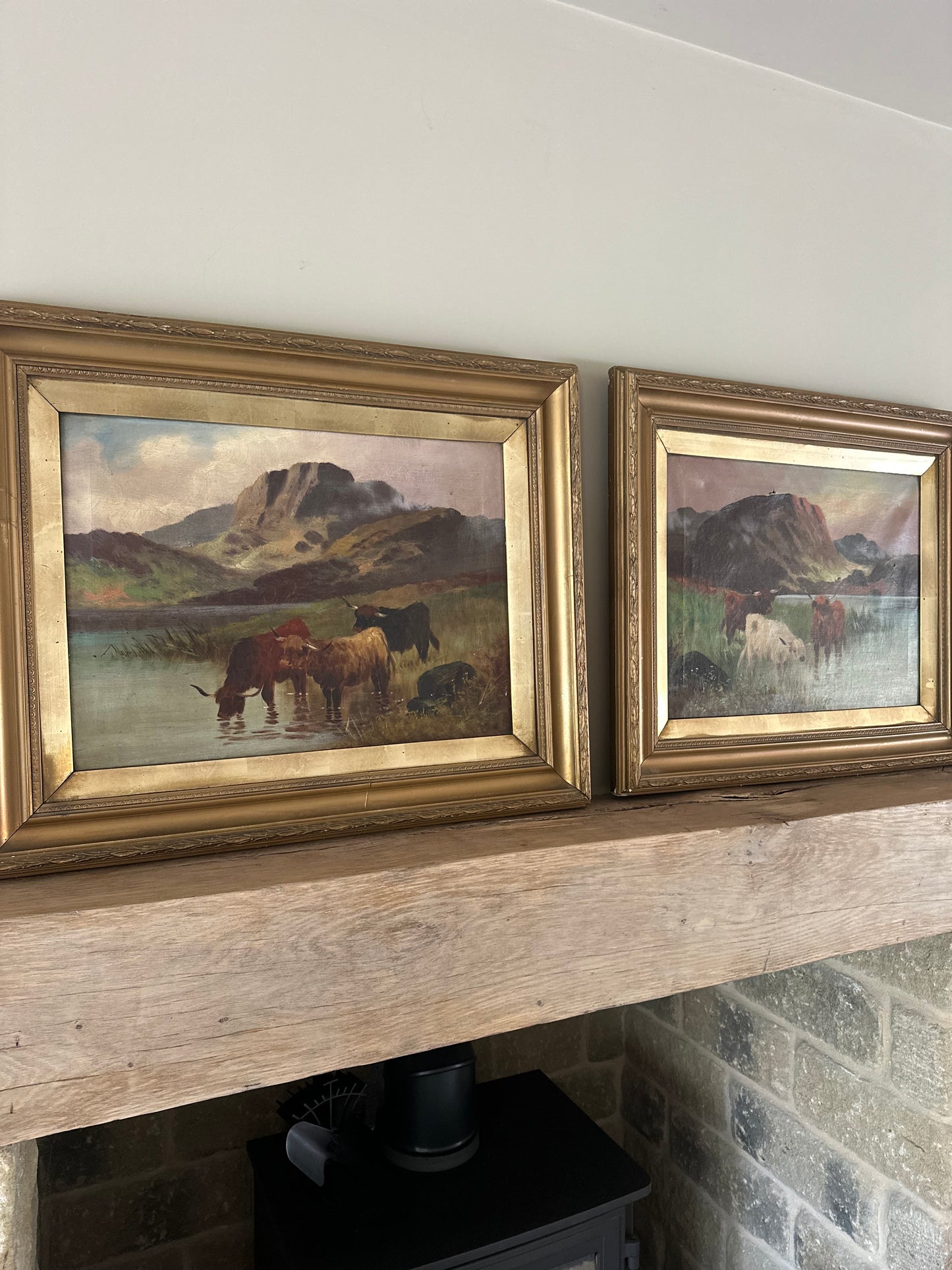 Pair of highland cow vintage paintings framed