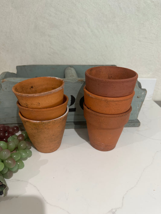 3 terracotta pots herbs