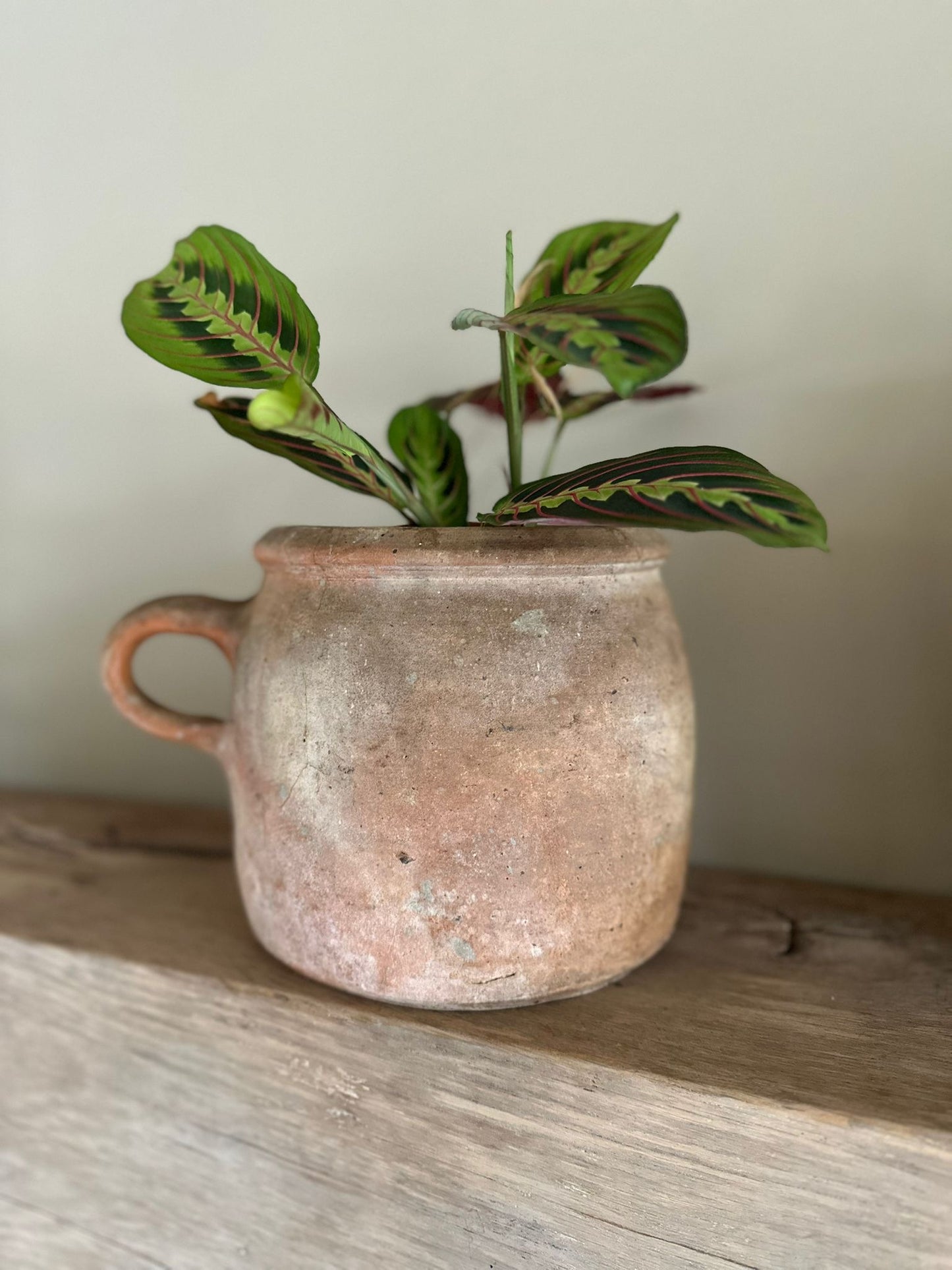 Vintage French terracotta confit pot