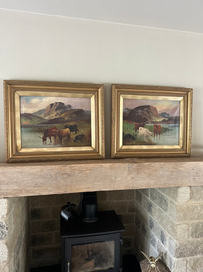Pair of highland cow vintage paintings framed
