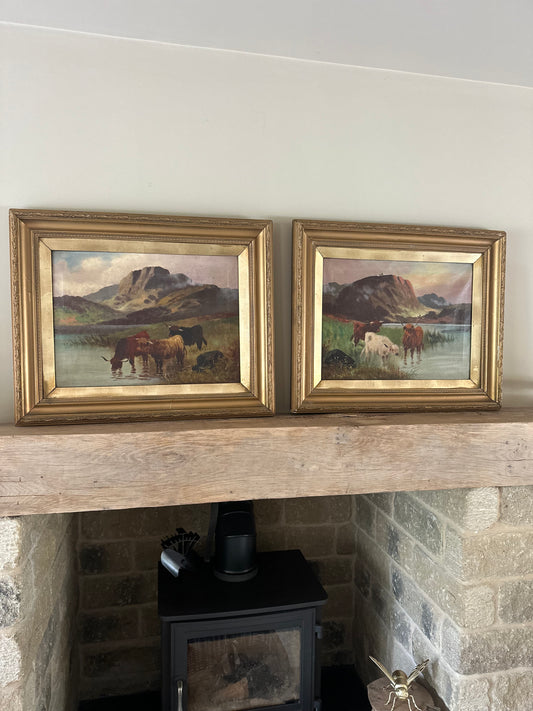 Pair of highland cow vintage paintings framed