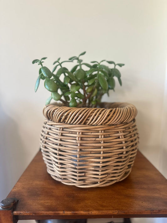 large wicker planter vintage very solid