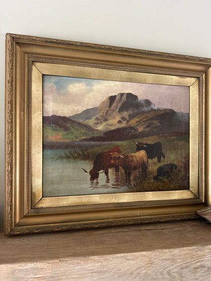 Pair of highland cow vintage paintings framed