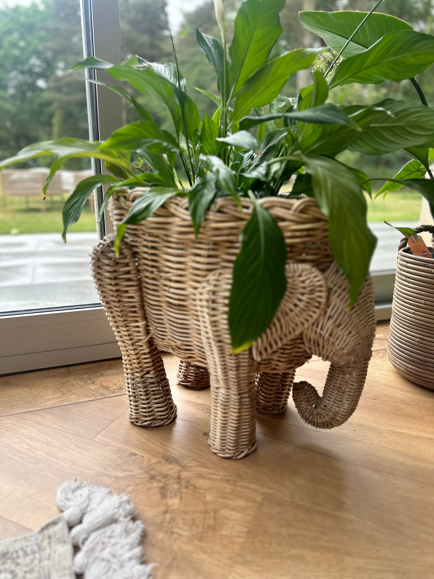 Mid century vintage large elephant wicker planter -Rare