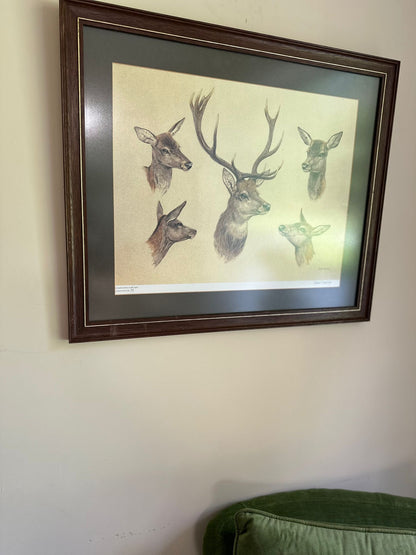 vintage limited edition deer print framed large