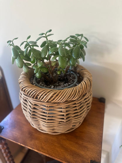 large wicker planter vintage very solid