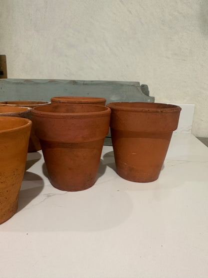 3 terracotta pots herbs