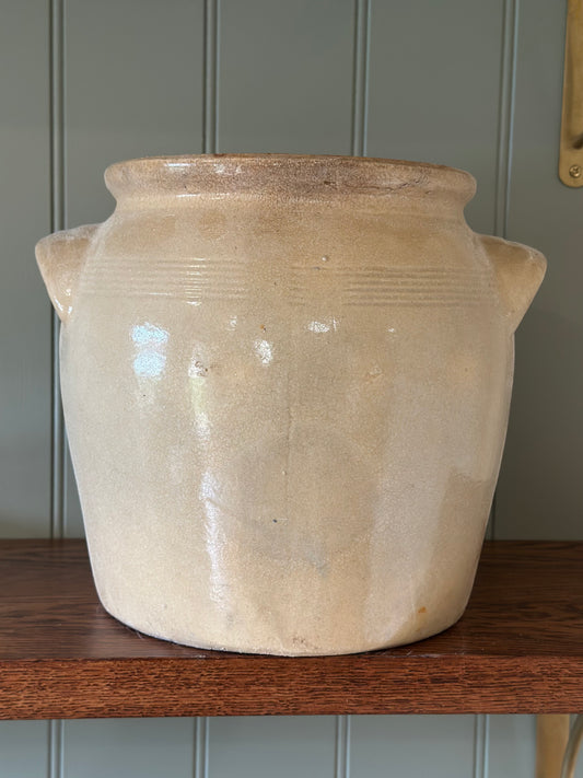 XL French confit cream