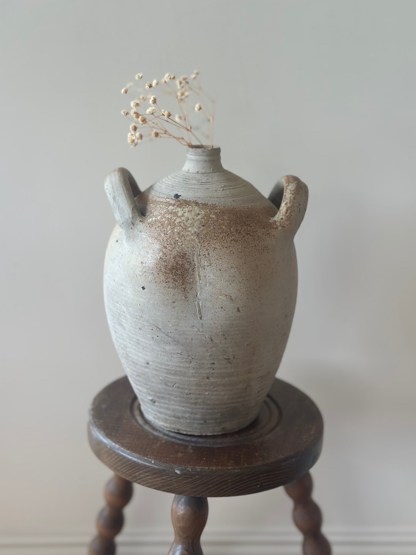 Medium - large French double handle neutral pot