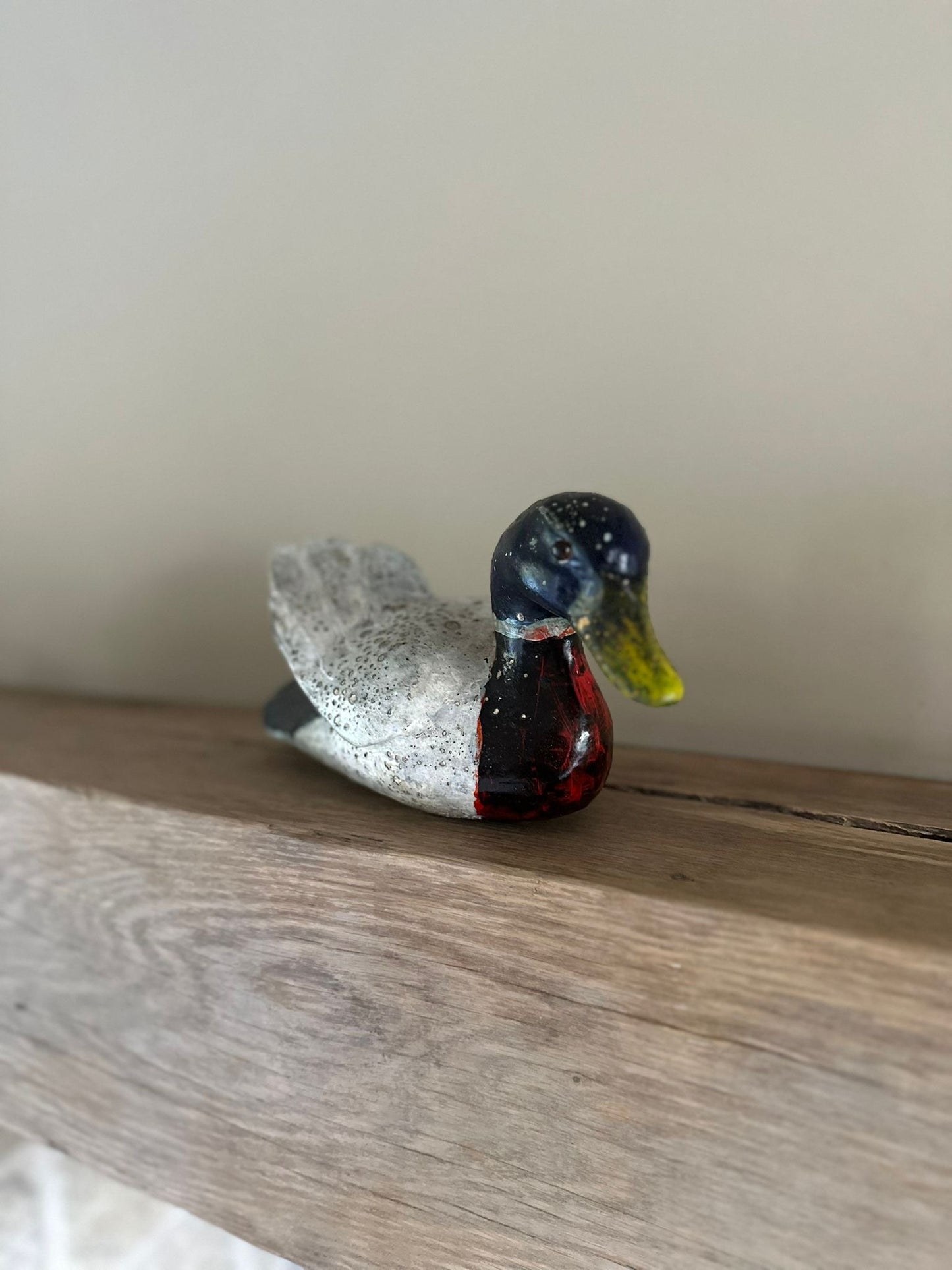 Decoy duck