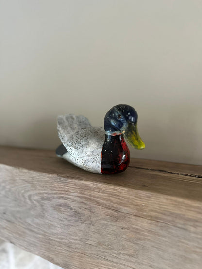 Decoy duck