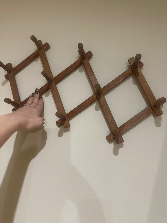 Vintage expanding foldable wall hanging peg rail